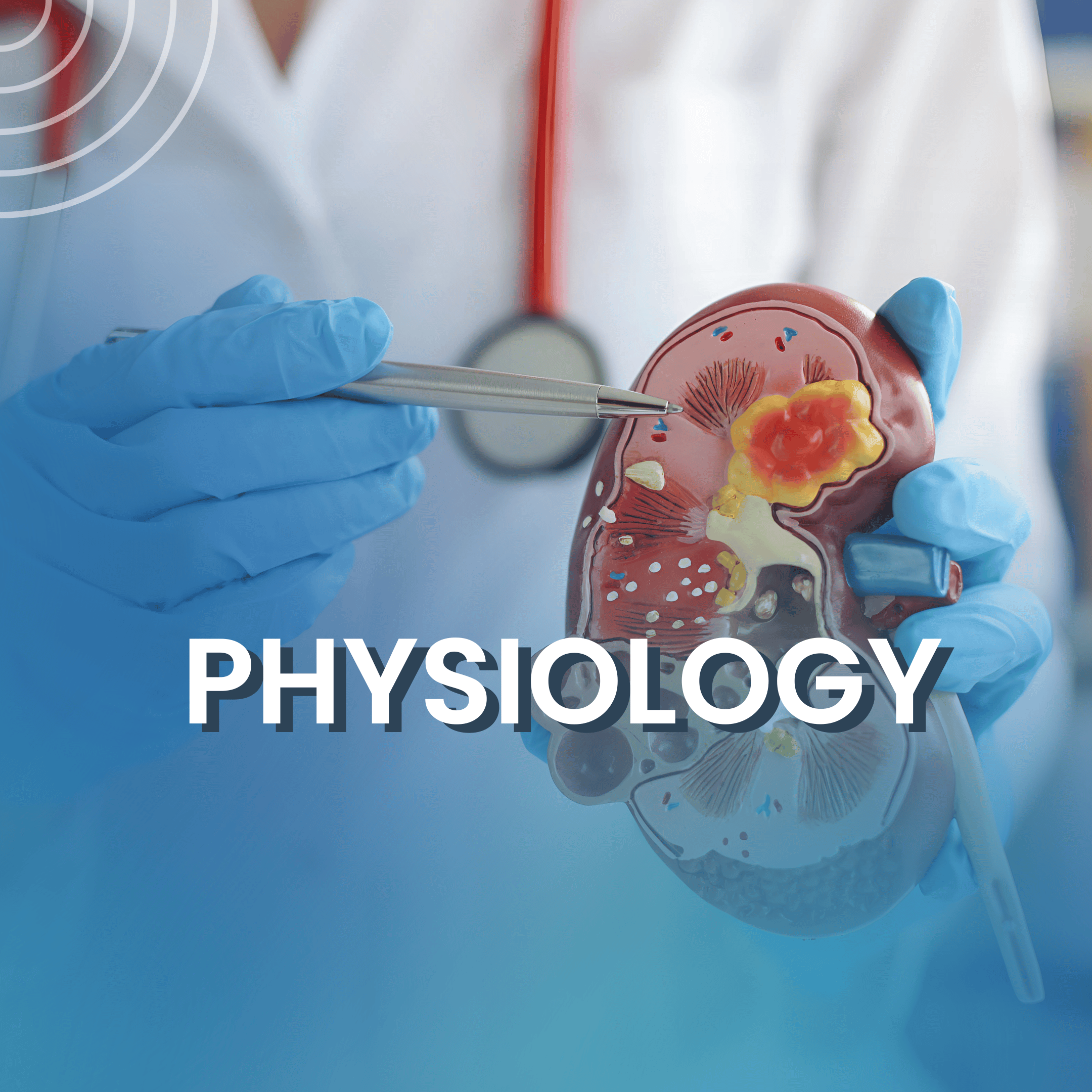 Human Physiology 1 - UAE University