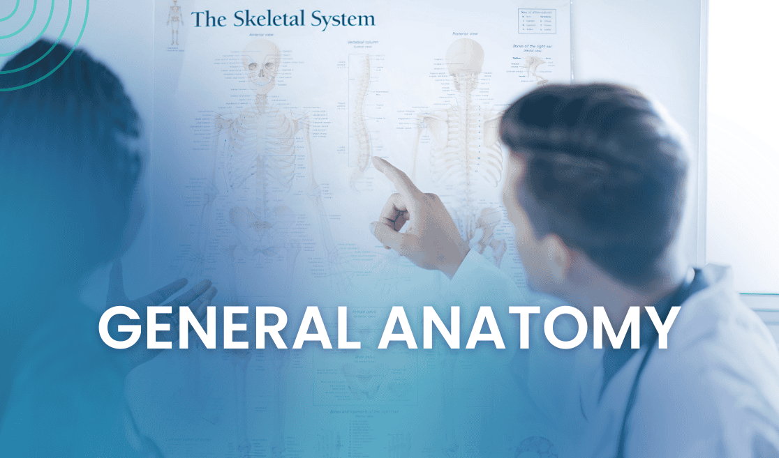 General Anatomy