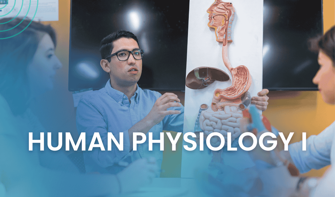 Human Physiology I