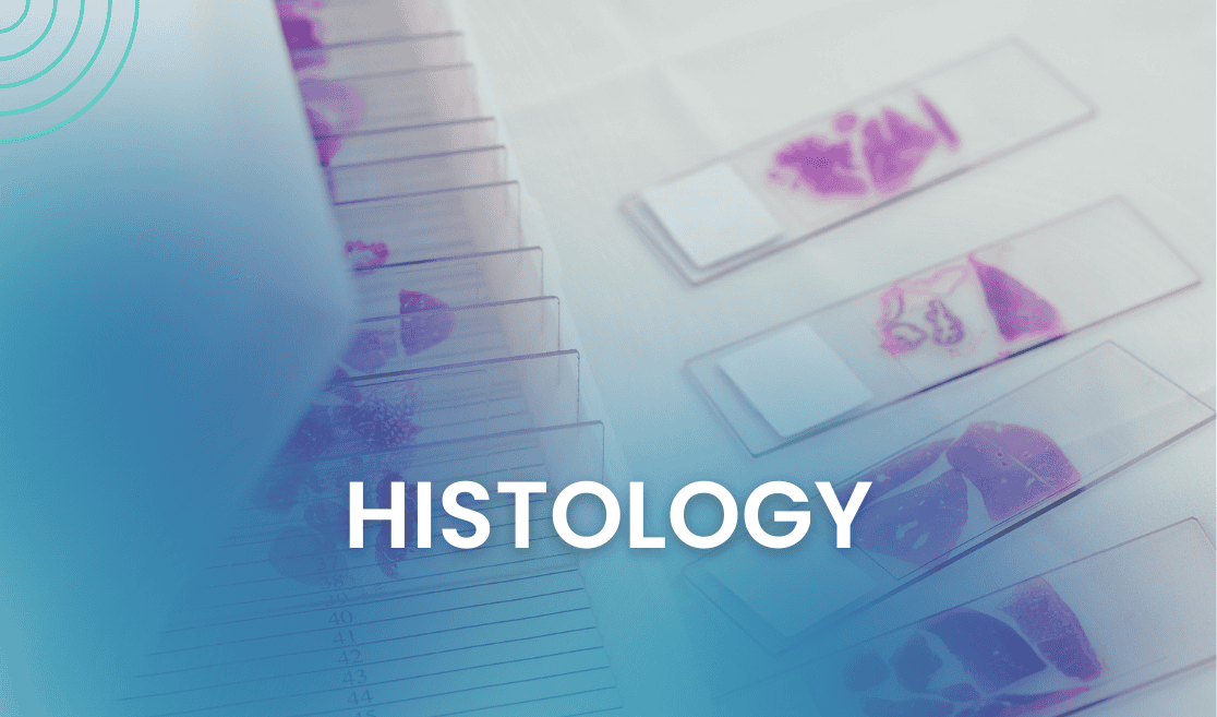Histology