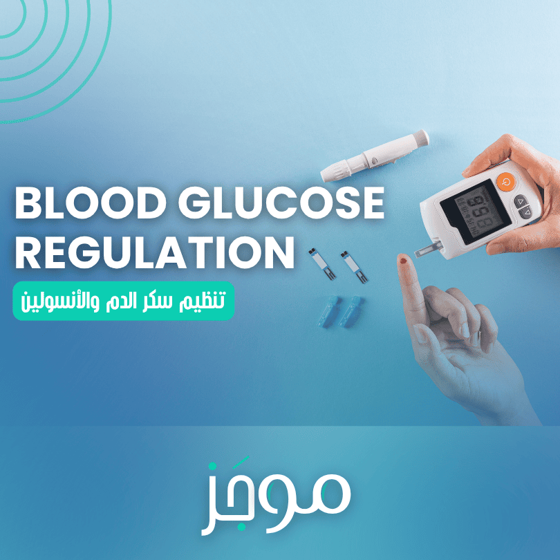 تنظيم سكر الدم والأنسولين – Blood Glucose Regulation and Insulin
