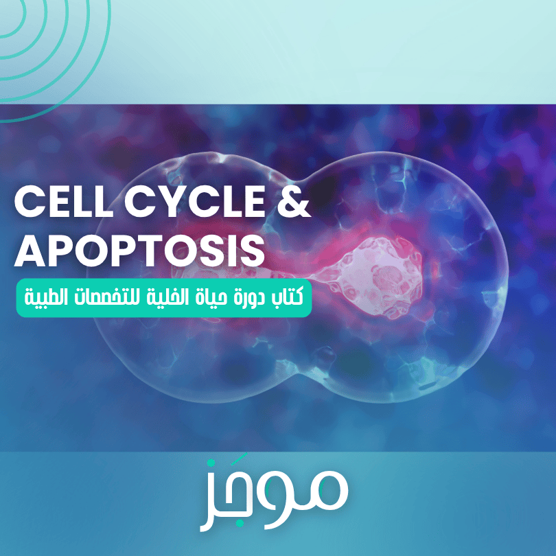 دورة حياة الخلية – Cell Cycle and Apoptosis