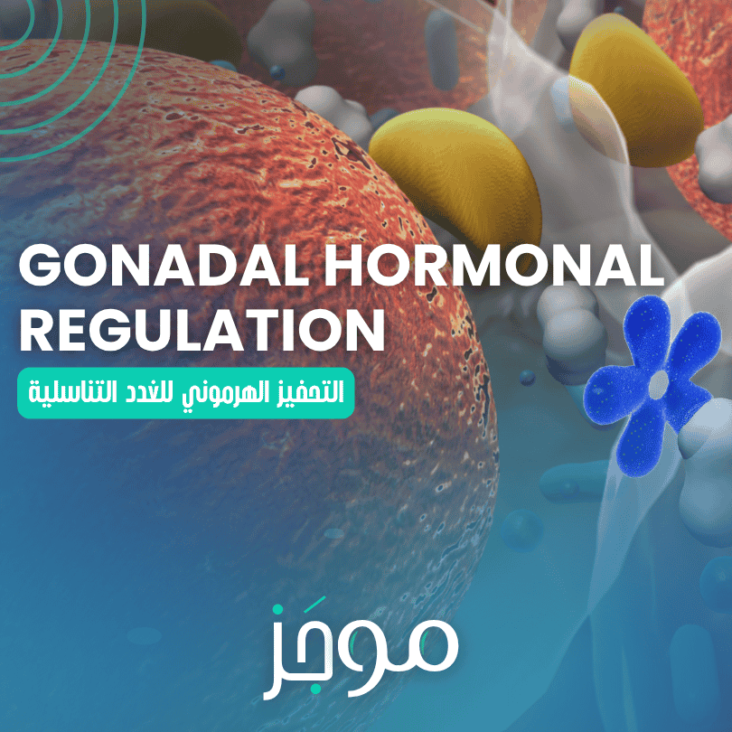 التحفيز الهرموني للغدد التناسلية – Gonadal Hormonal Regulation