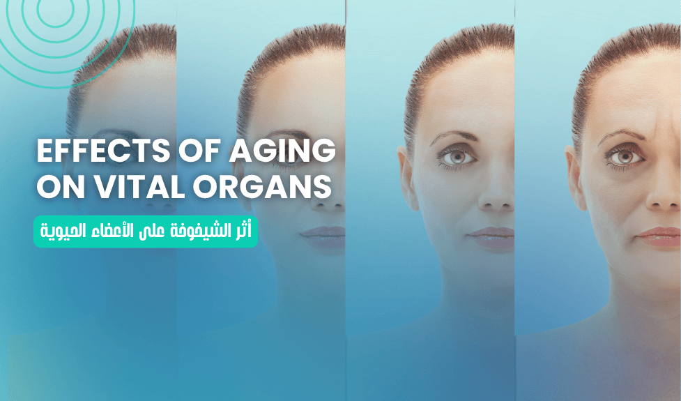 أثر الشيخوخة على الأعضاء الحيوية – Effects of Aging on Vital Organs